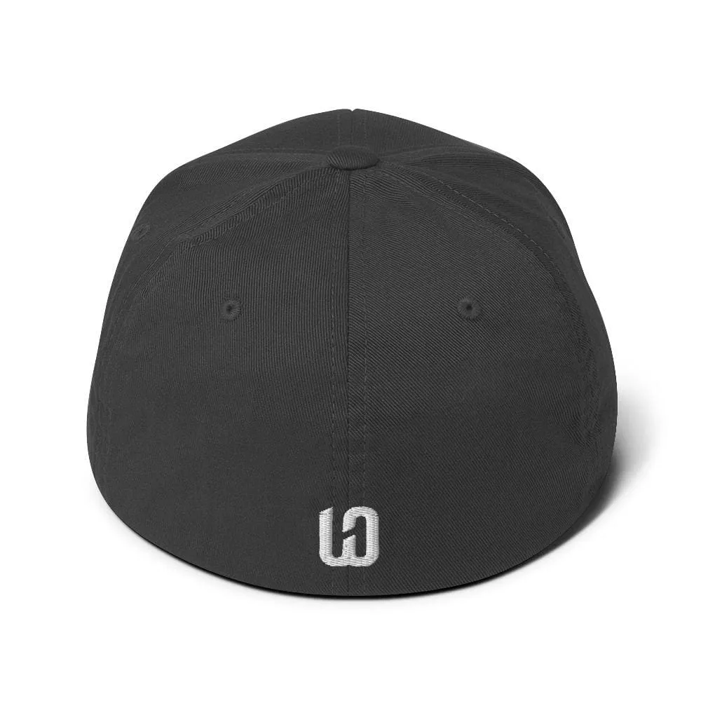 2024 WOD Obsessed Memorial Day Murph Challenge Structured Twill Cap