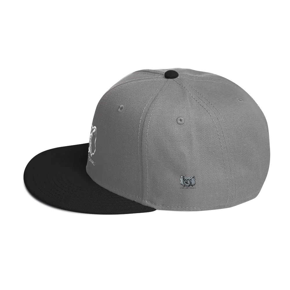 Dysfunctional Ent Snapback Hat