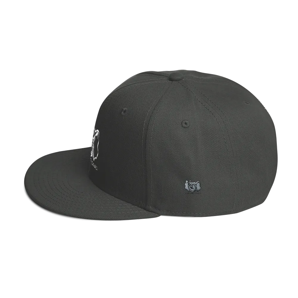 Dysfunctional Ent Snapback Hat