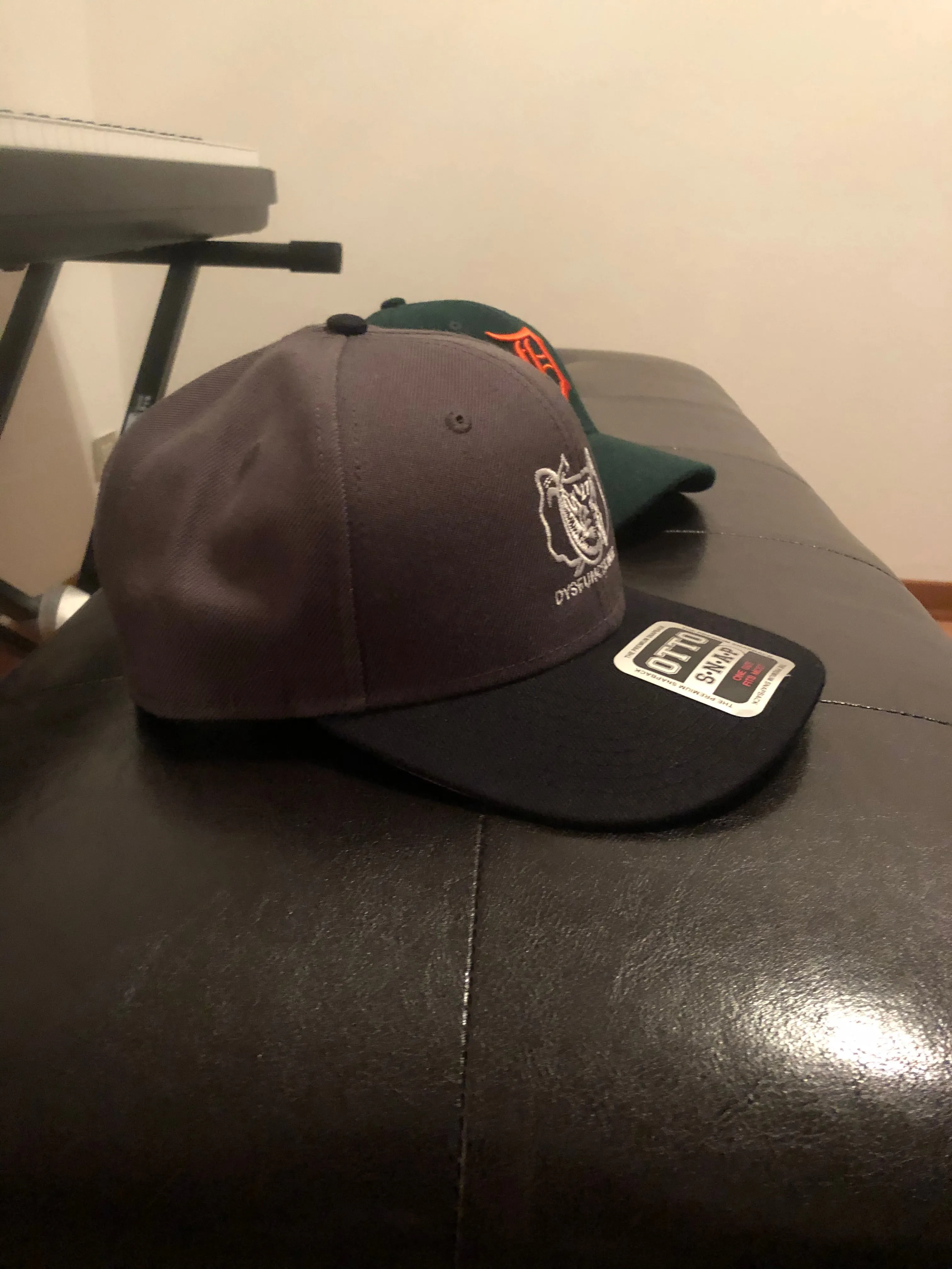 Dysfunctional Ent Snapback Hat