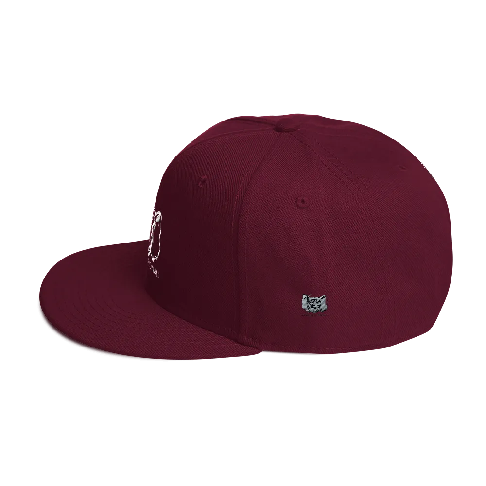 Dysfunctional Ent Snapback Hat