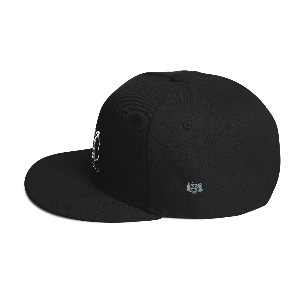 Dysfunctional Ent Snapback Hat