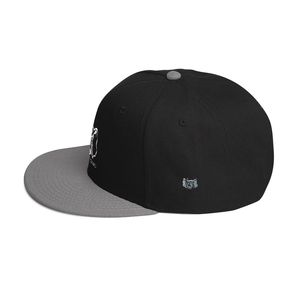 Dysfunctional Ent Snapback Hat