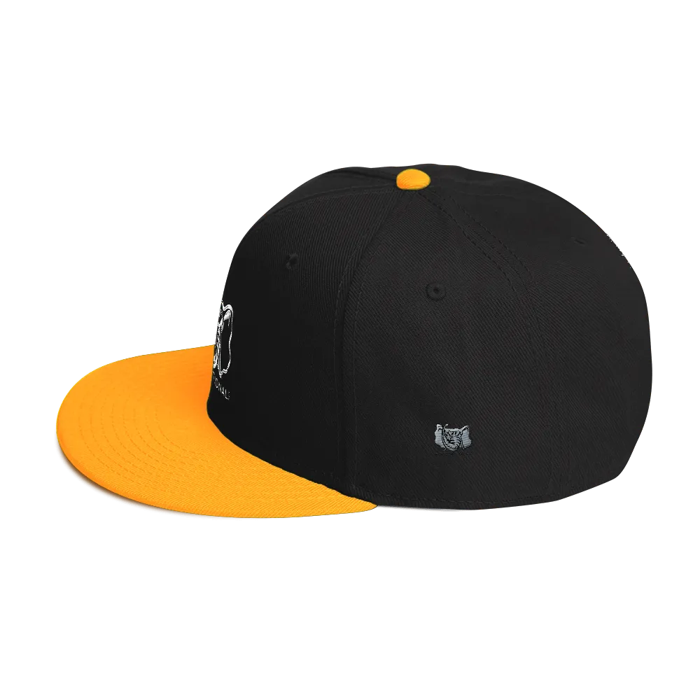 Dysfunctional Ent Snapback Hat
