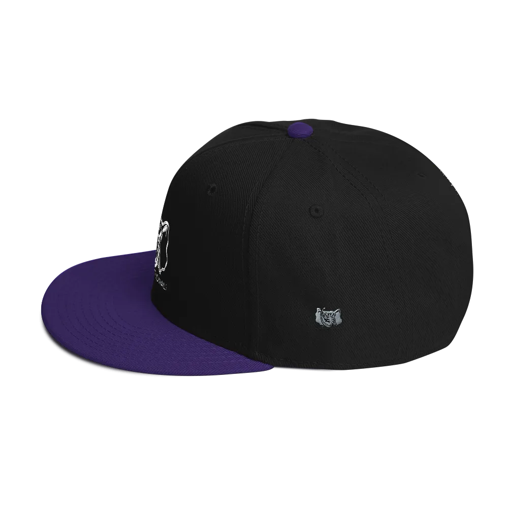 Dysfunctional Ent Snapback Hat