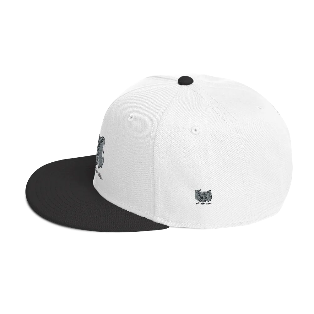 Dysfunctional Ent Snapback Hat
