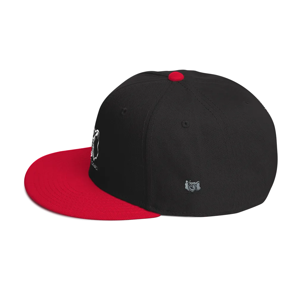 Dysfunctional Ent Snapback Hat