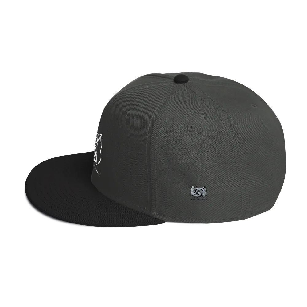 Dysfunctional Ent Snapback Hat