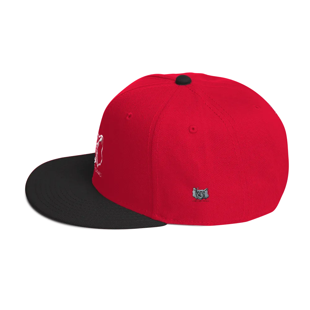 Dysfunctional Ent Snapback Hat