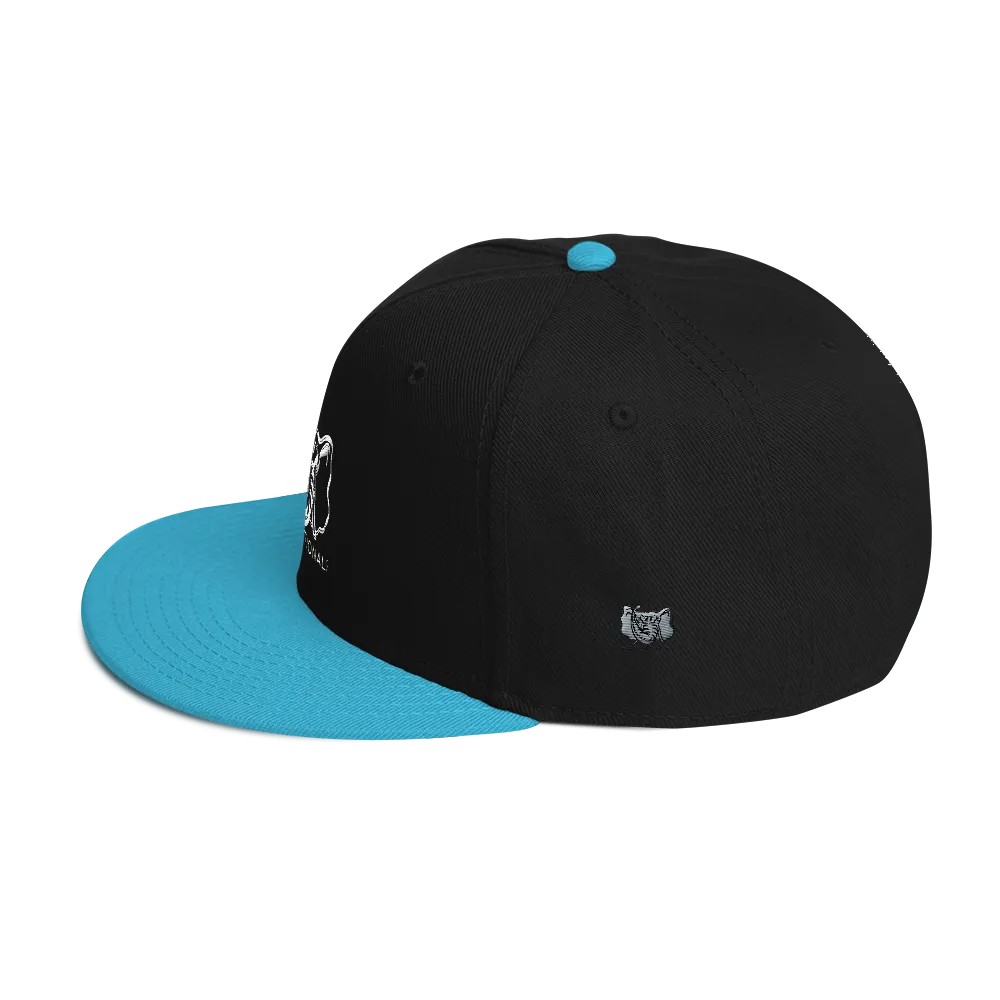 Dysfunctional Ent Snapback Hat