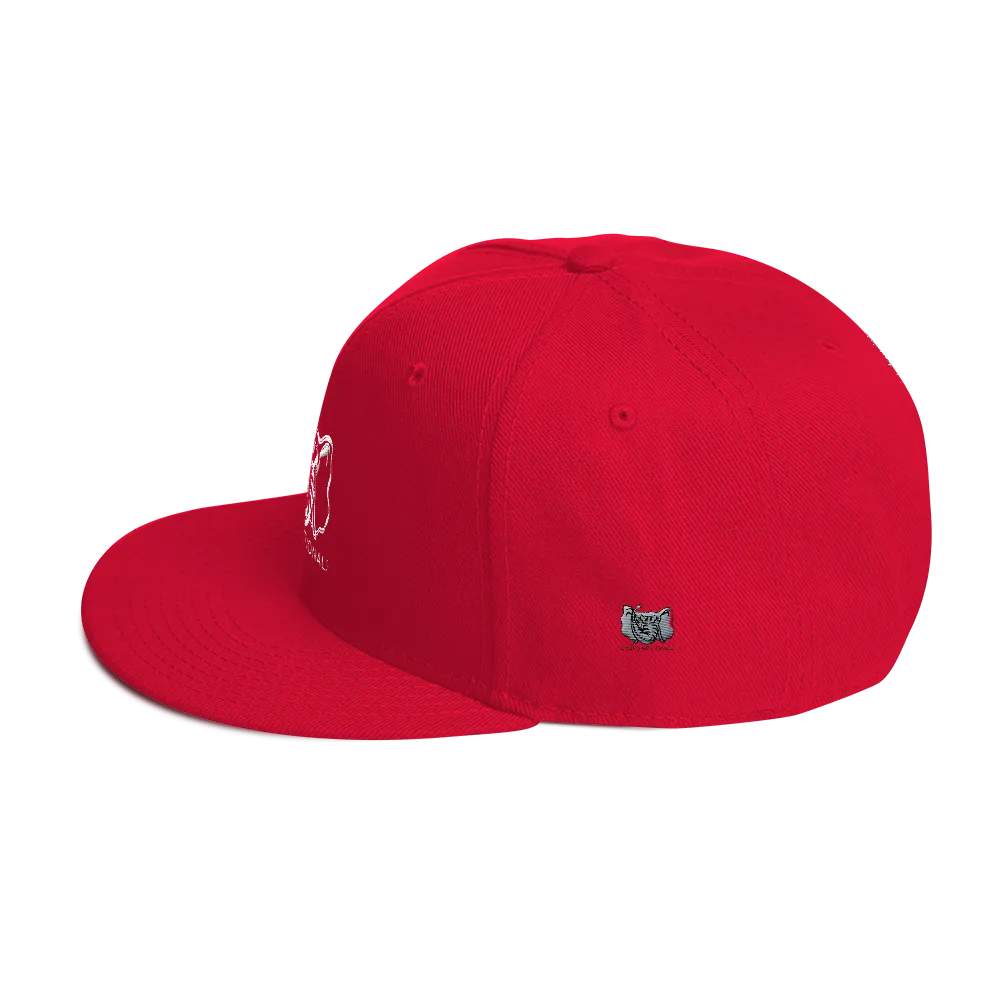 Dysfunctional Ent Snapback Hat