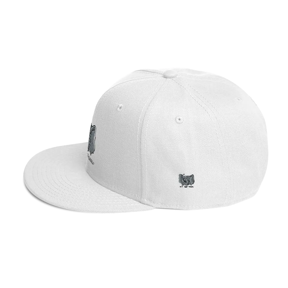 Dysfunctional Ent Snapback Hat