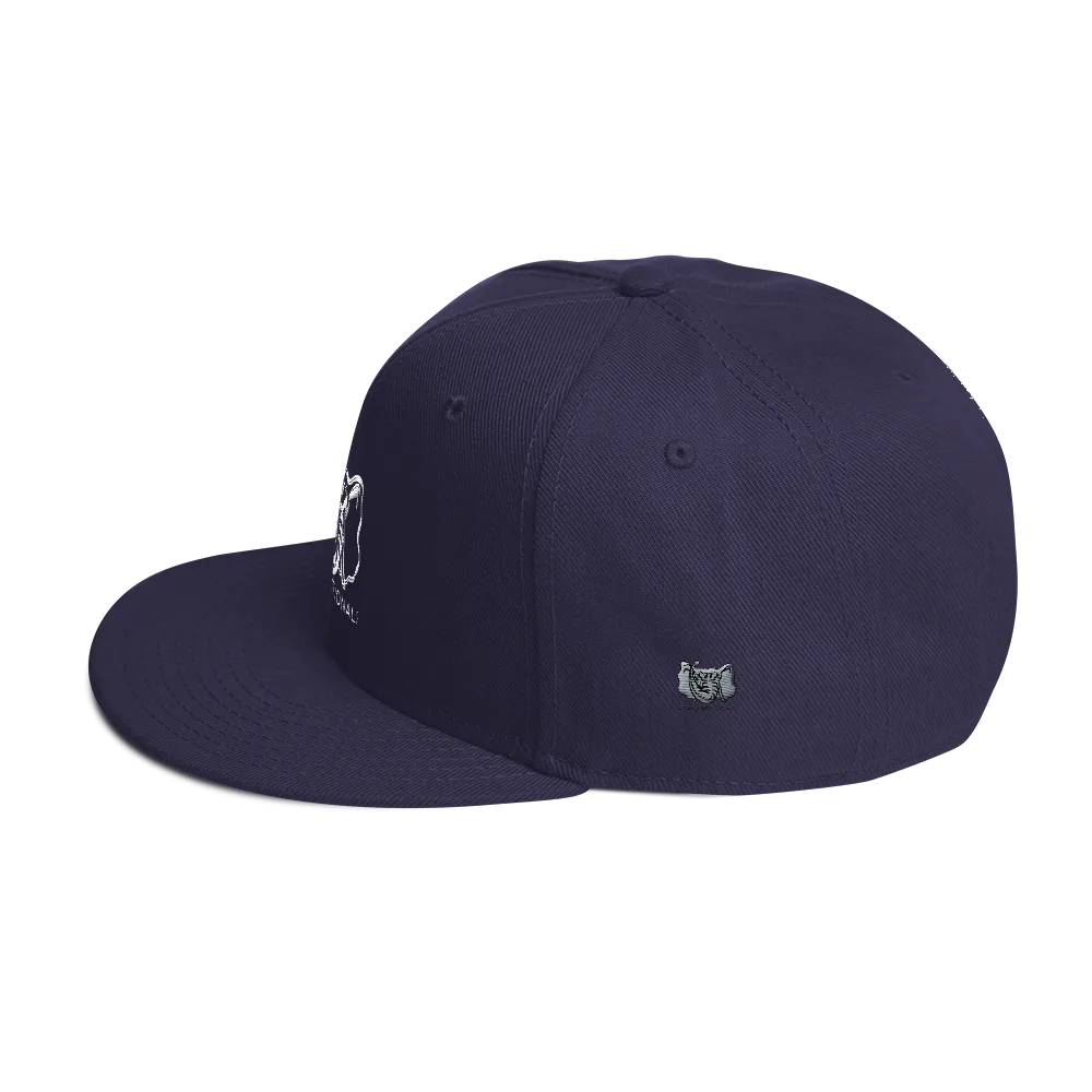Dysfunctional Ent Snapback Hat